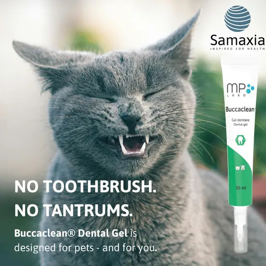 MP Labo Buccaclean Dental Gel for Dogs & Cats