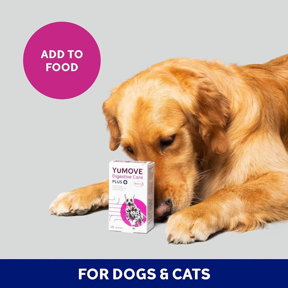 YuMOVE Digestive Care PLUS