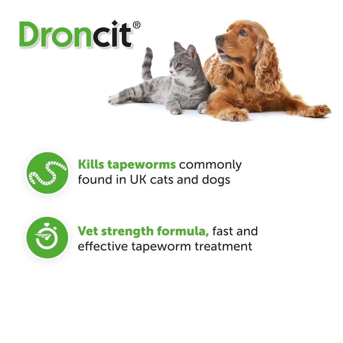 Droncit Tablet Tapewormer for Cats and Dogs