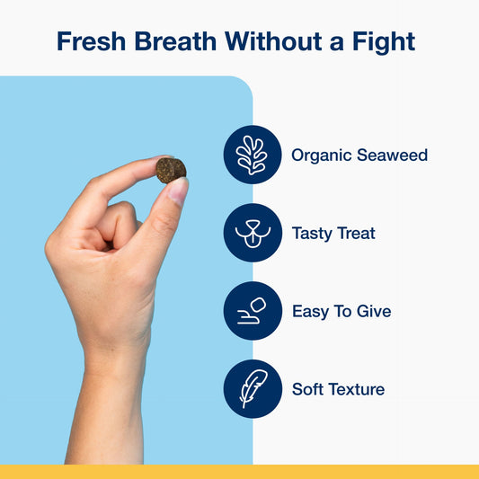 PlaqueOff Dental Soft Chews for Dogs