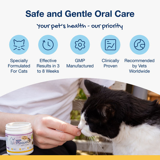 PlaqueOff Dental Soft Chews for Cats