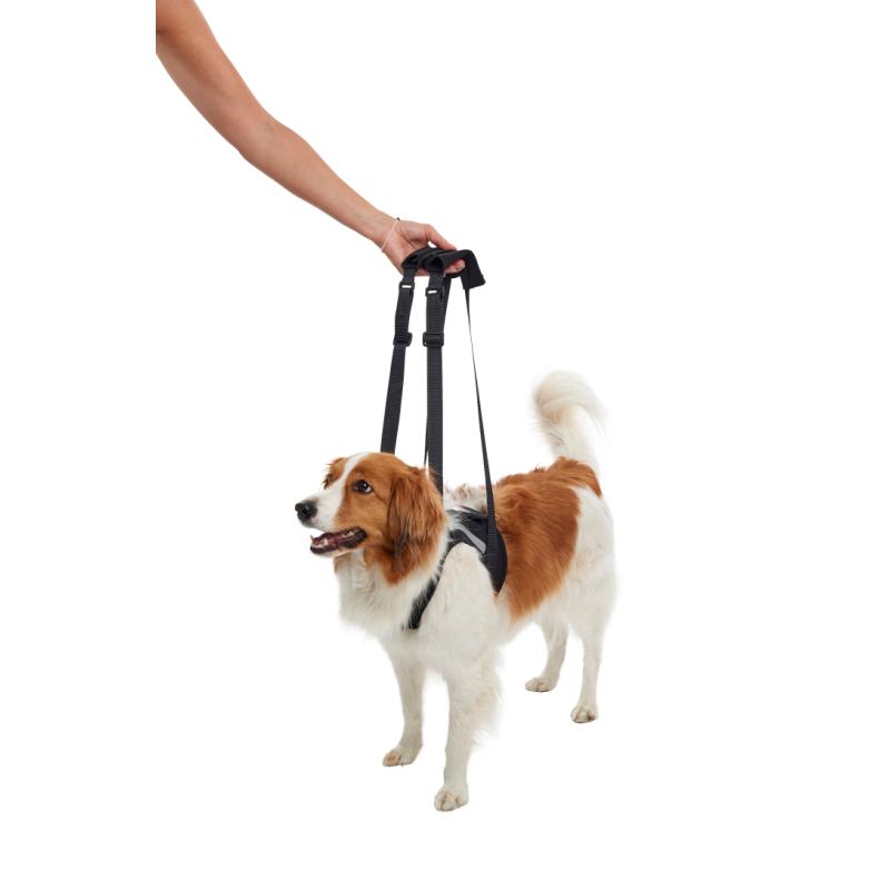 KRUUSE Rehab Lift Harness Front Legs XL