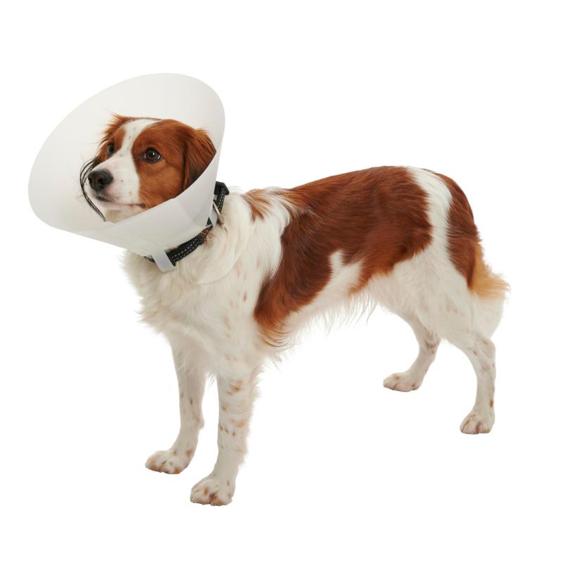 BUSTER Collar Dog 15cm Classic (273330)