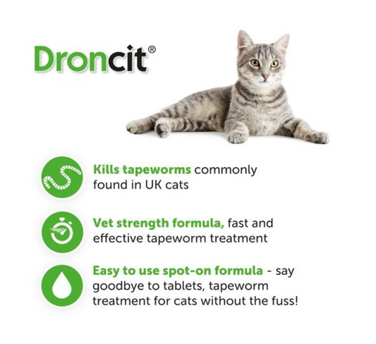 Droncit Spot on Cat Tapewormer (Pack of 4)