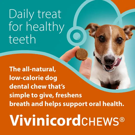 Vivinicord Dental Chews for Dogs