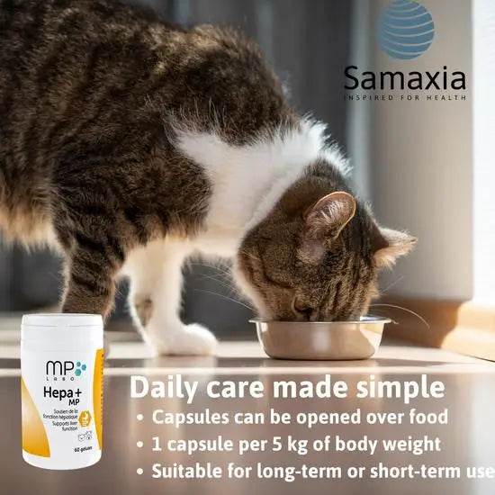MP Labo Hepa+ MP Liver Function Support Supplement Capsules for Cats & Dogs