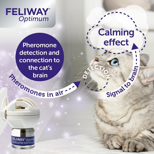 Feliway Optimum Refill Economy 3 Pack