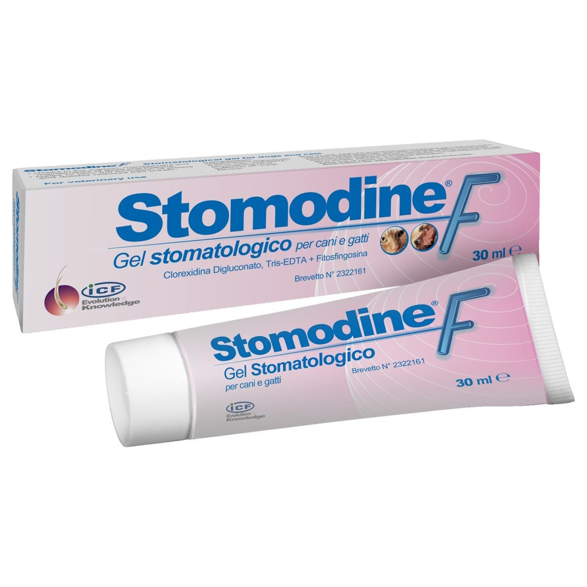 Stomodine F Gel 30ml