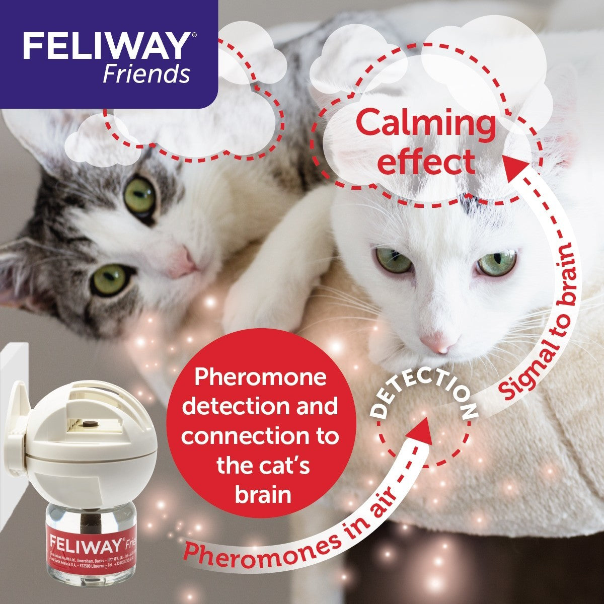 Feliway Friends Diffuser 30 Day Starter Kit