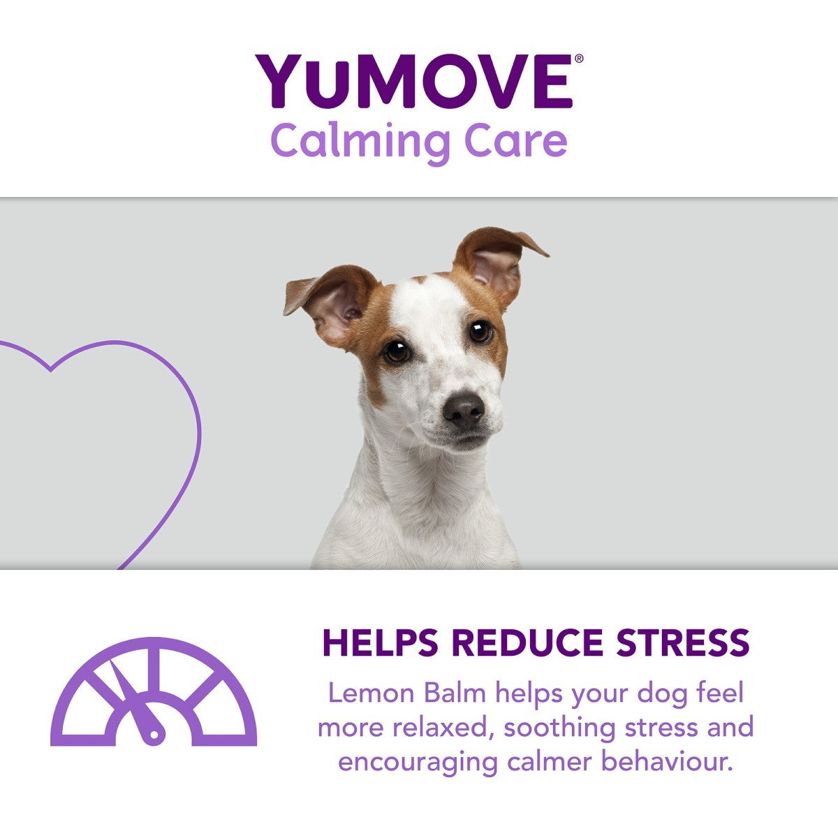 YuMOVE Calming Care for Adult Dogs