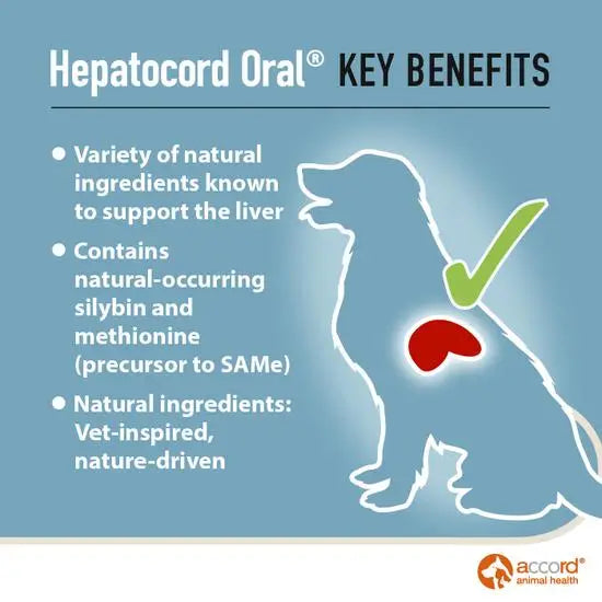 Hepatocord Oral Liver Support Supplement for Dogs & Cats