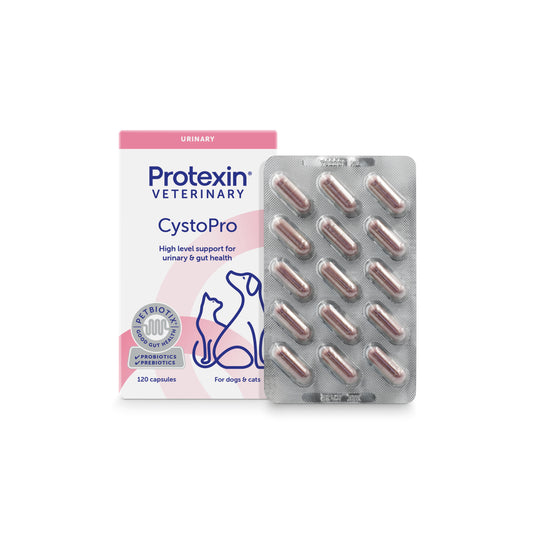 CystoPro Capsules for Dogs and Cats
