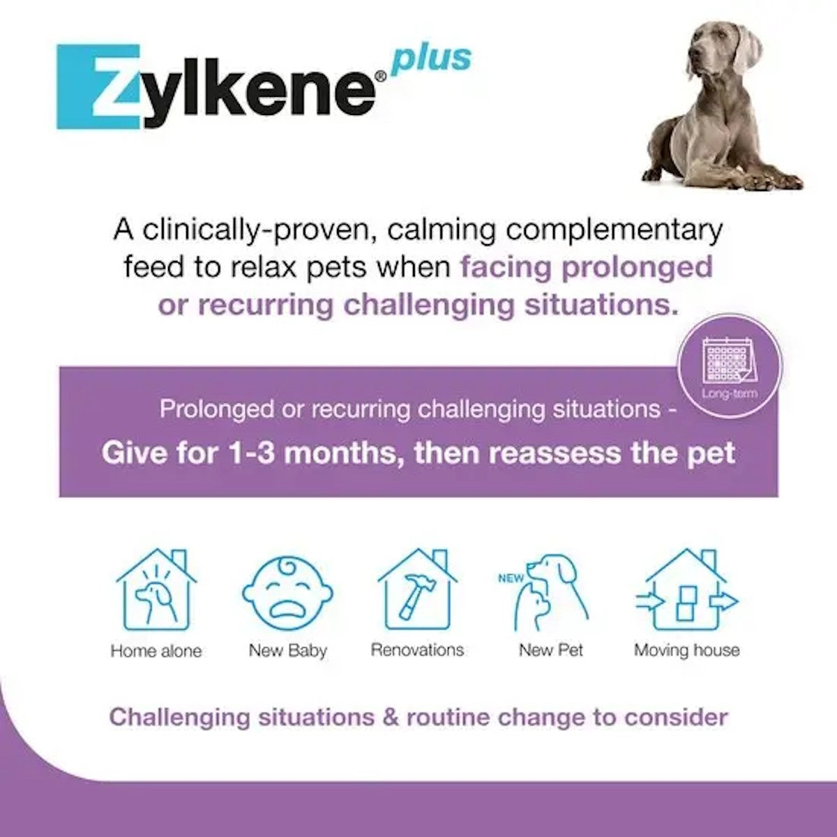 Zylkene Plus 450mg Capsules for Large Dogs