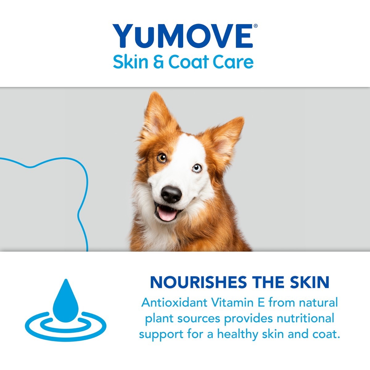 YuMOVE Skin & Coat Care Moulting Dog 500ml