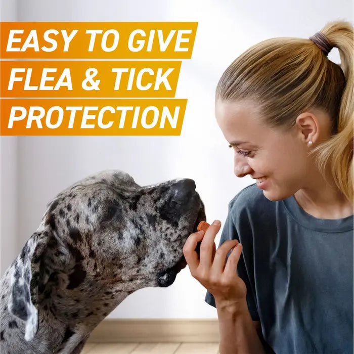 Frontpro Chewable Tablets Flea and Tick Treatment for Dogs 3 Pack