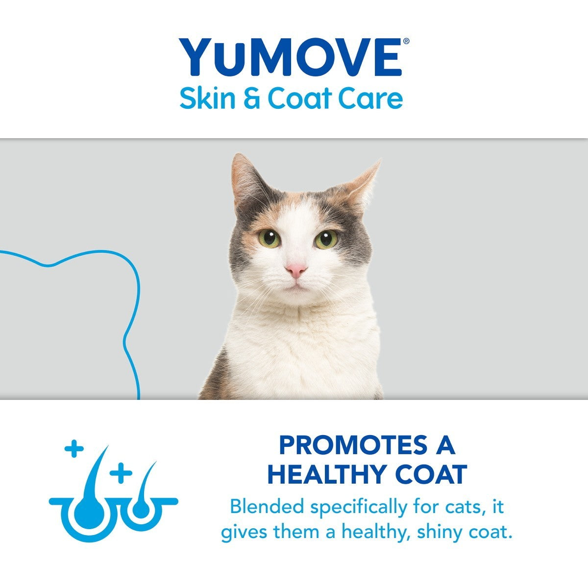 YuMOVE Skin & Coat Care Moulting Cat 50ml