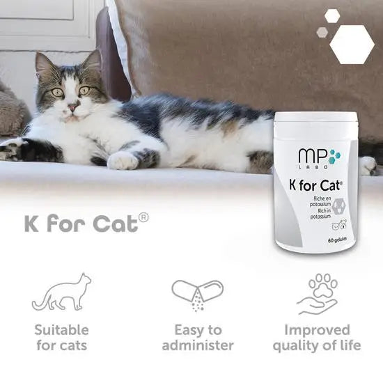 MP Labo K for Cat Potassium Capsules for Dogs & Cats