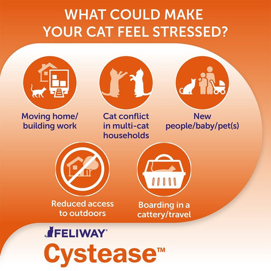 Feliway Cystease Urinary Tract Support for Cats