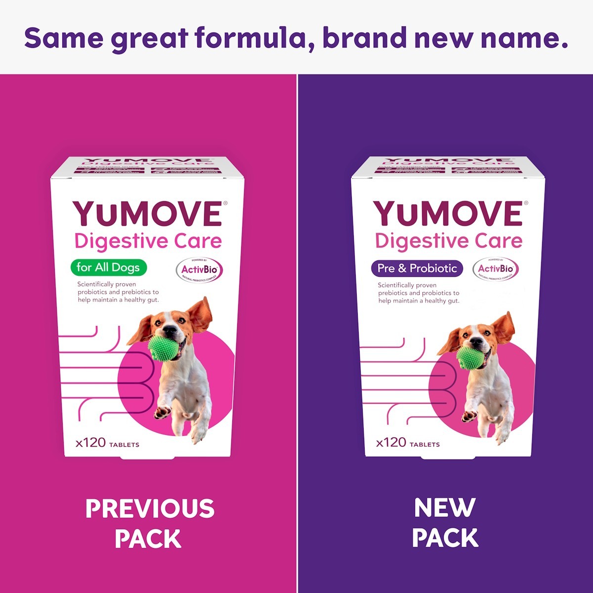 YuMOVE Digestive Care