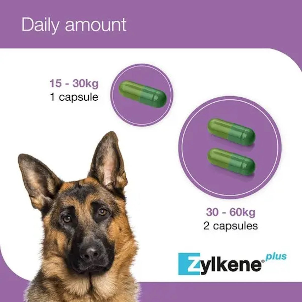Zylkene Plus 450mg Capsules for Large Dogs