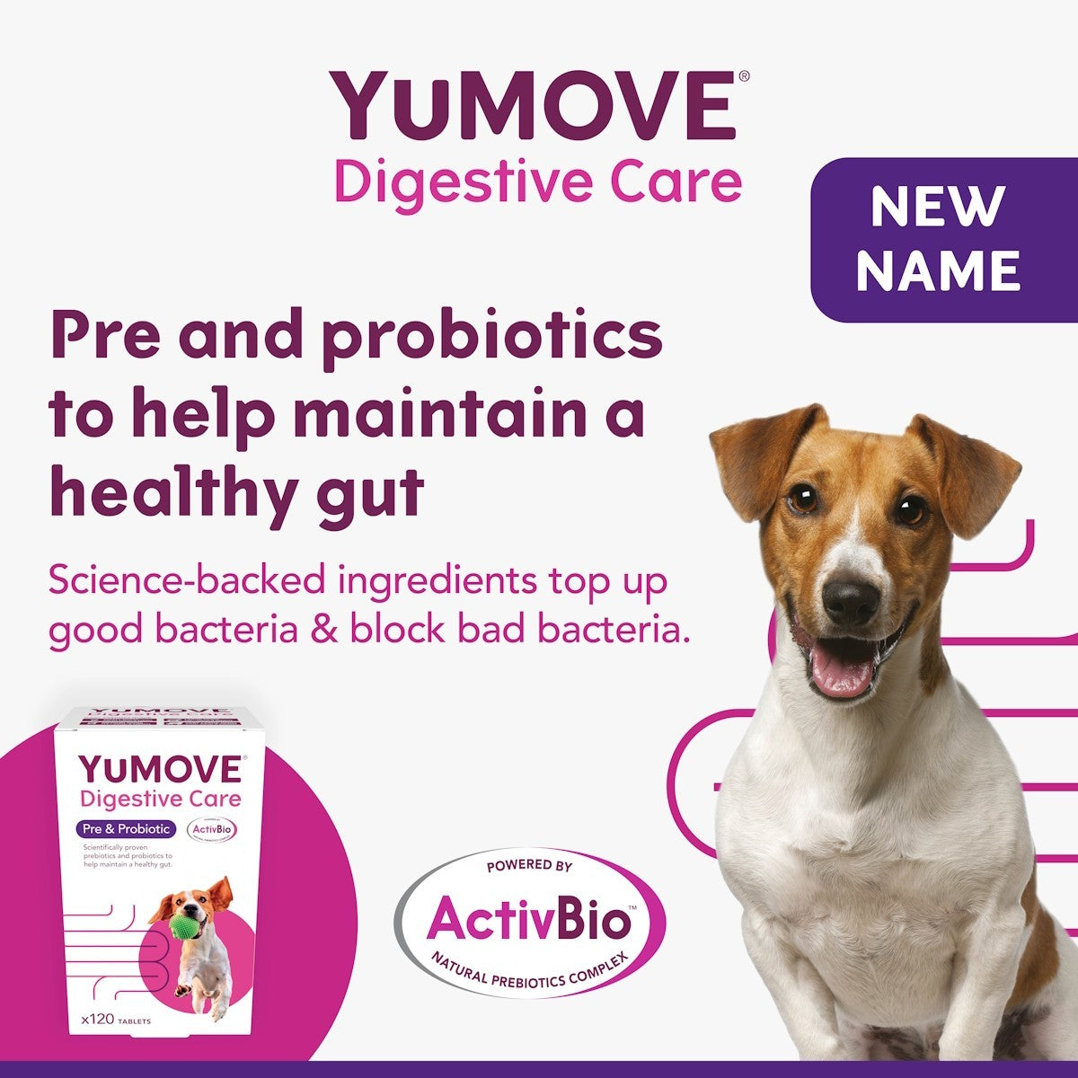 YuMOVE Digestive Care