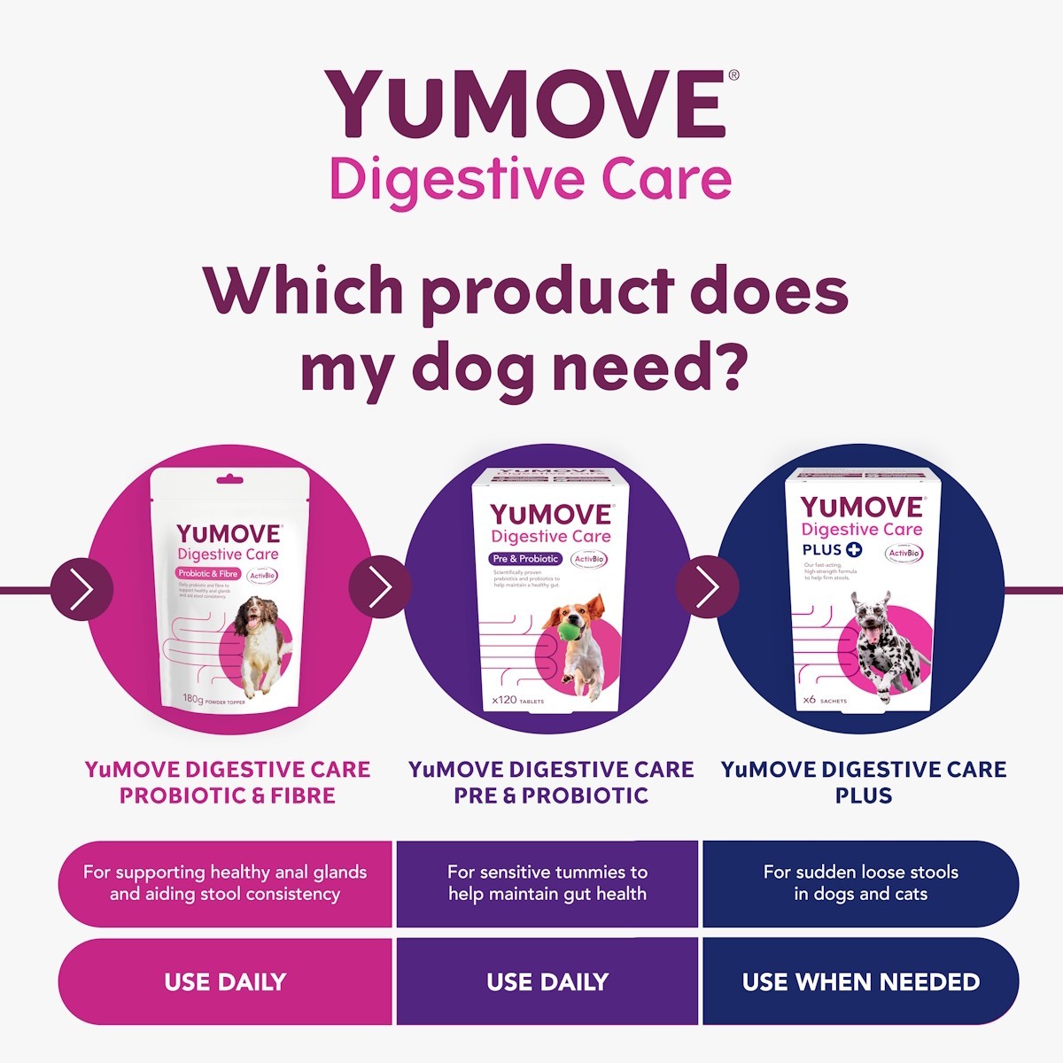 YuMOVE Digestive Care