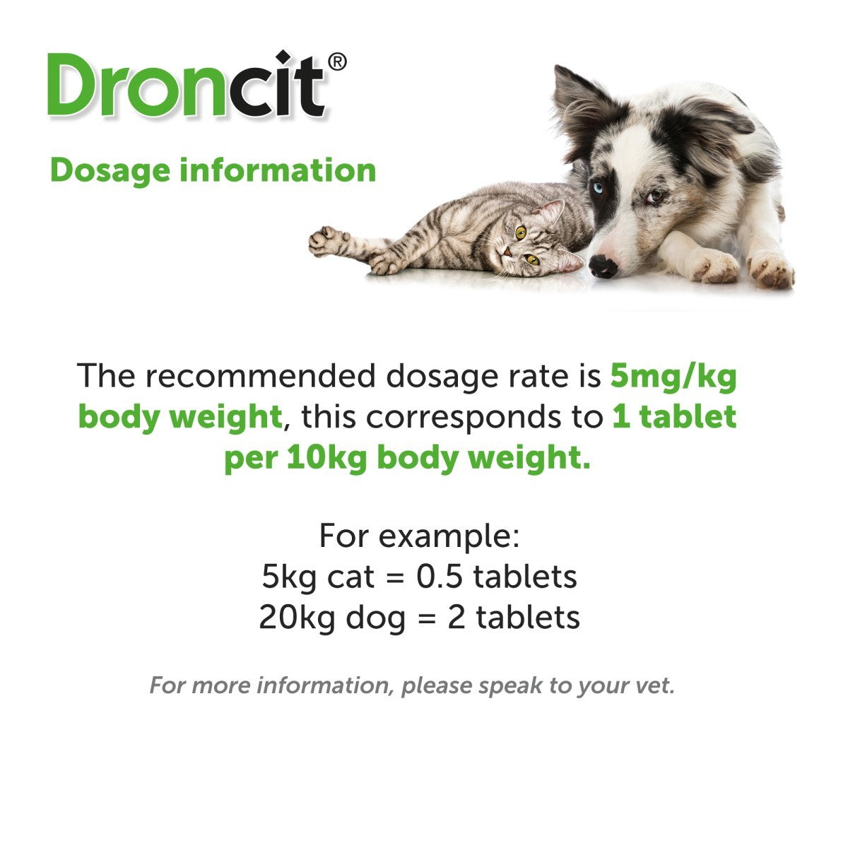 Droncit Tablet Tapewormer for Cats and Dogs