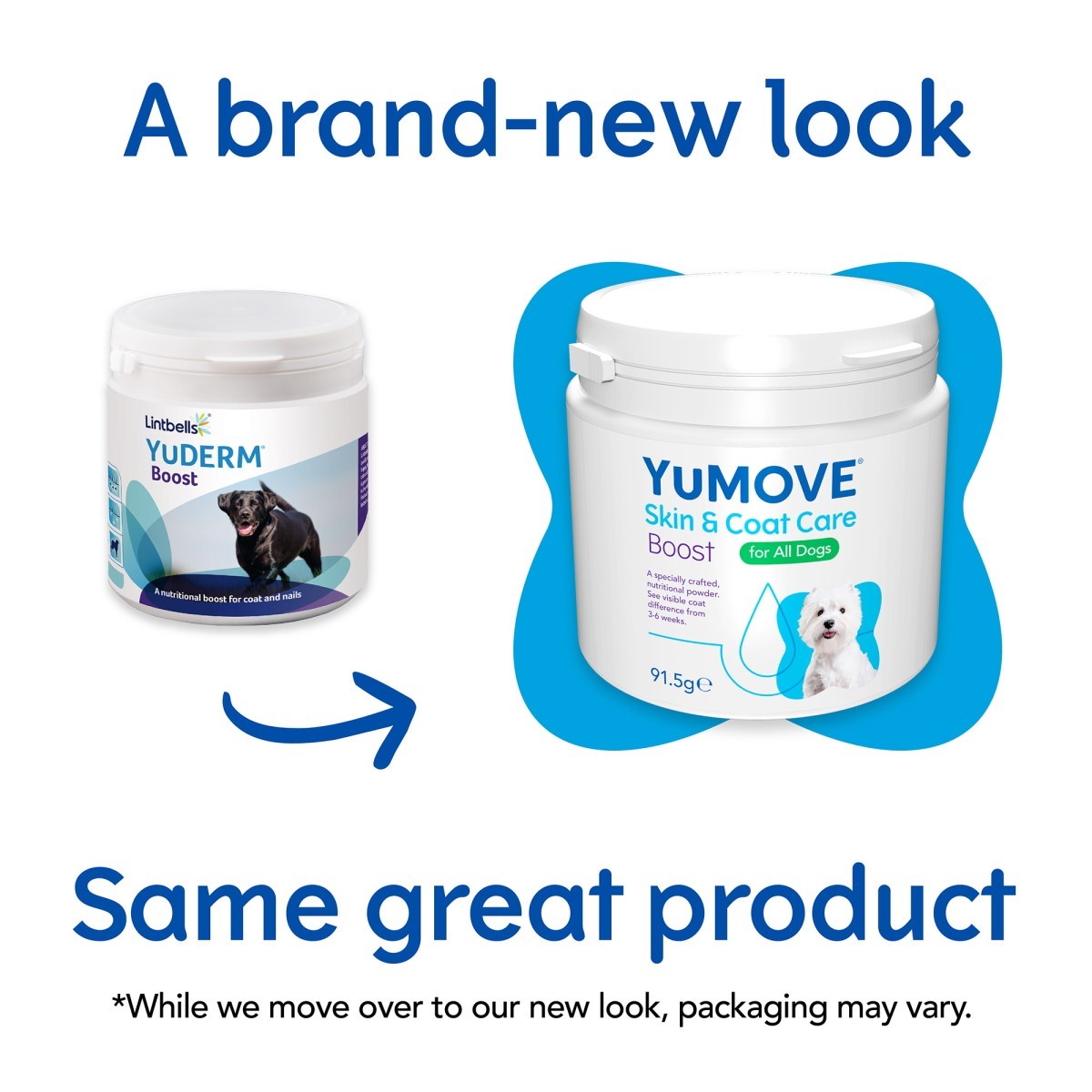 YuMOVE Skin & Coat Care Boost 91.5g