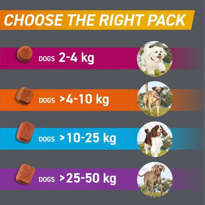 Frontpro Chewable Tablets Flea and Tick Treatment for Dogs 3 Pack