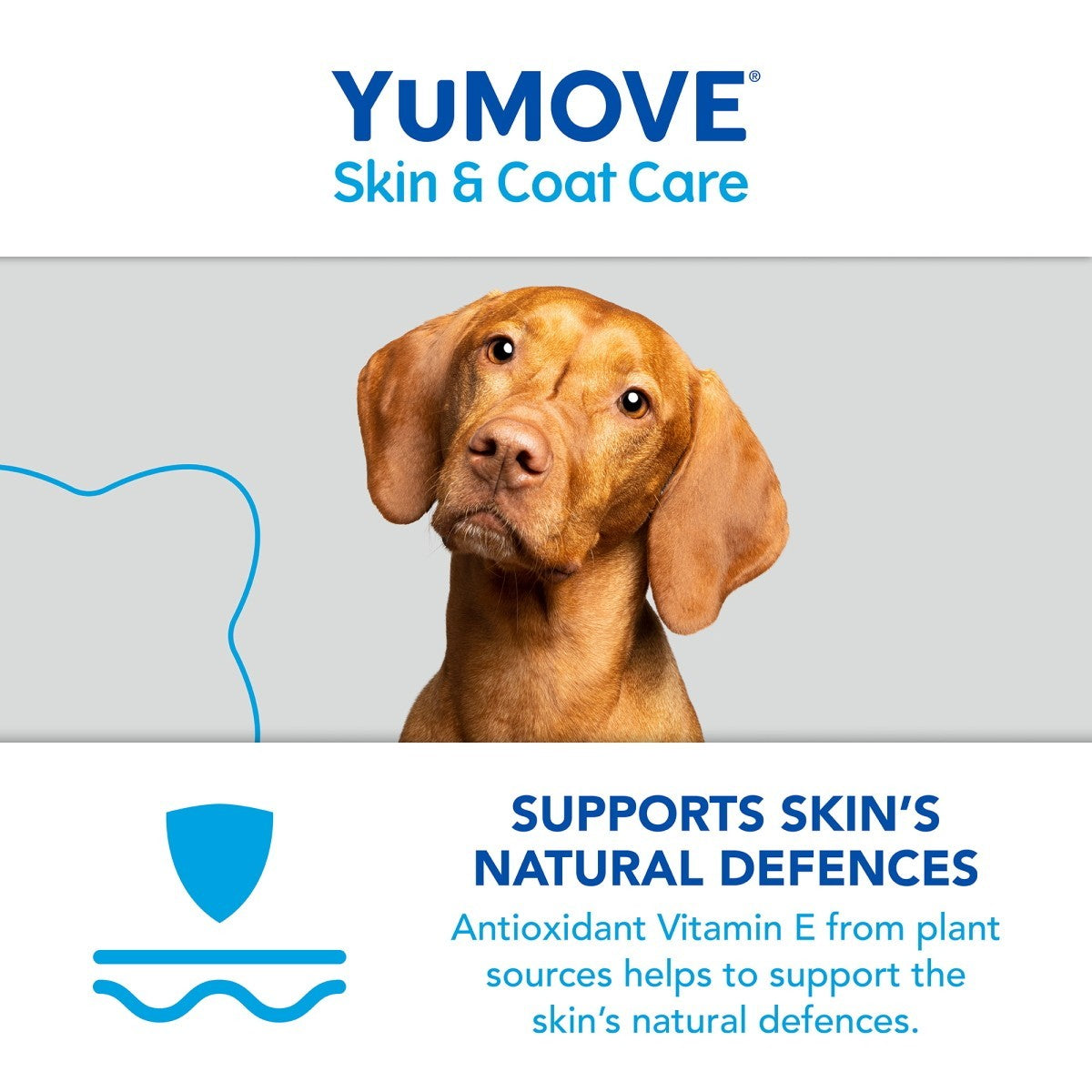 YuMOVE Skin & Coat Care Itching