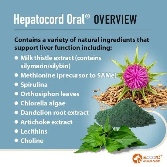 Hepatocord Oral Liver Support Supplement for Dogs & Cats