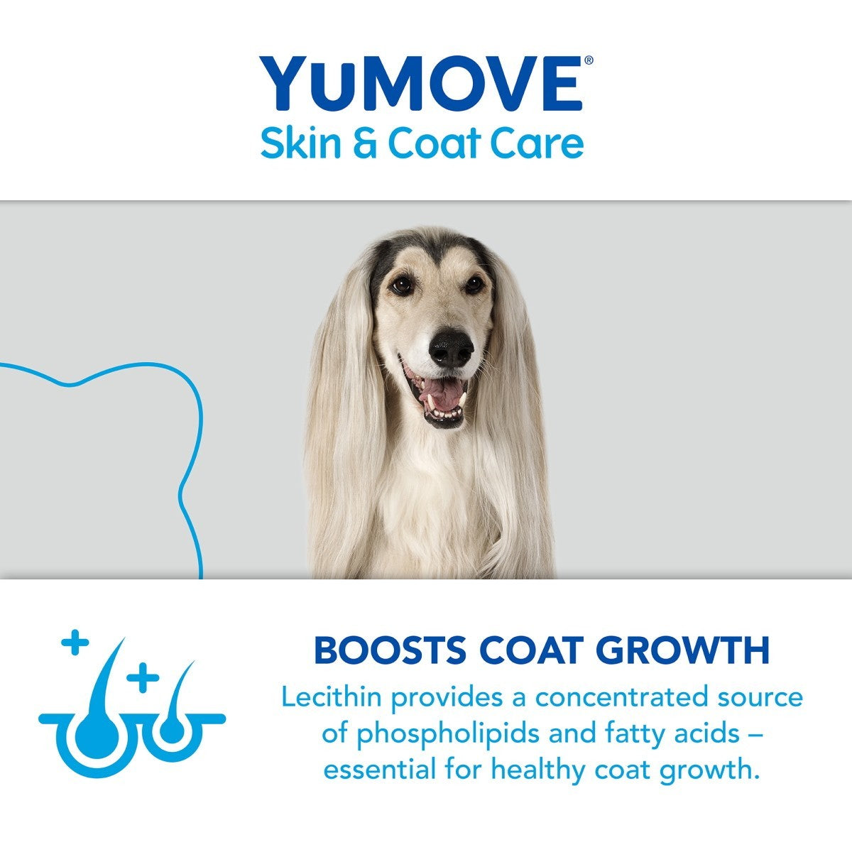 YuMOVE Skin & Coat Care Boost 91.5g