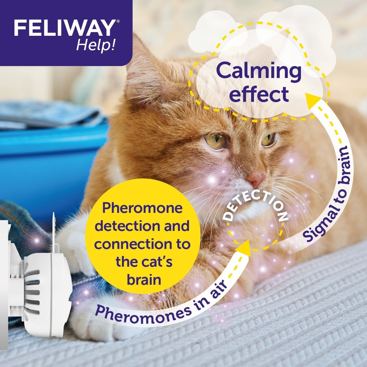 Feliway Help! Diffuser 7 Day Starter Kit