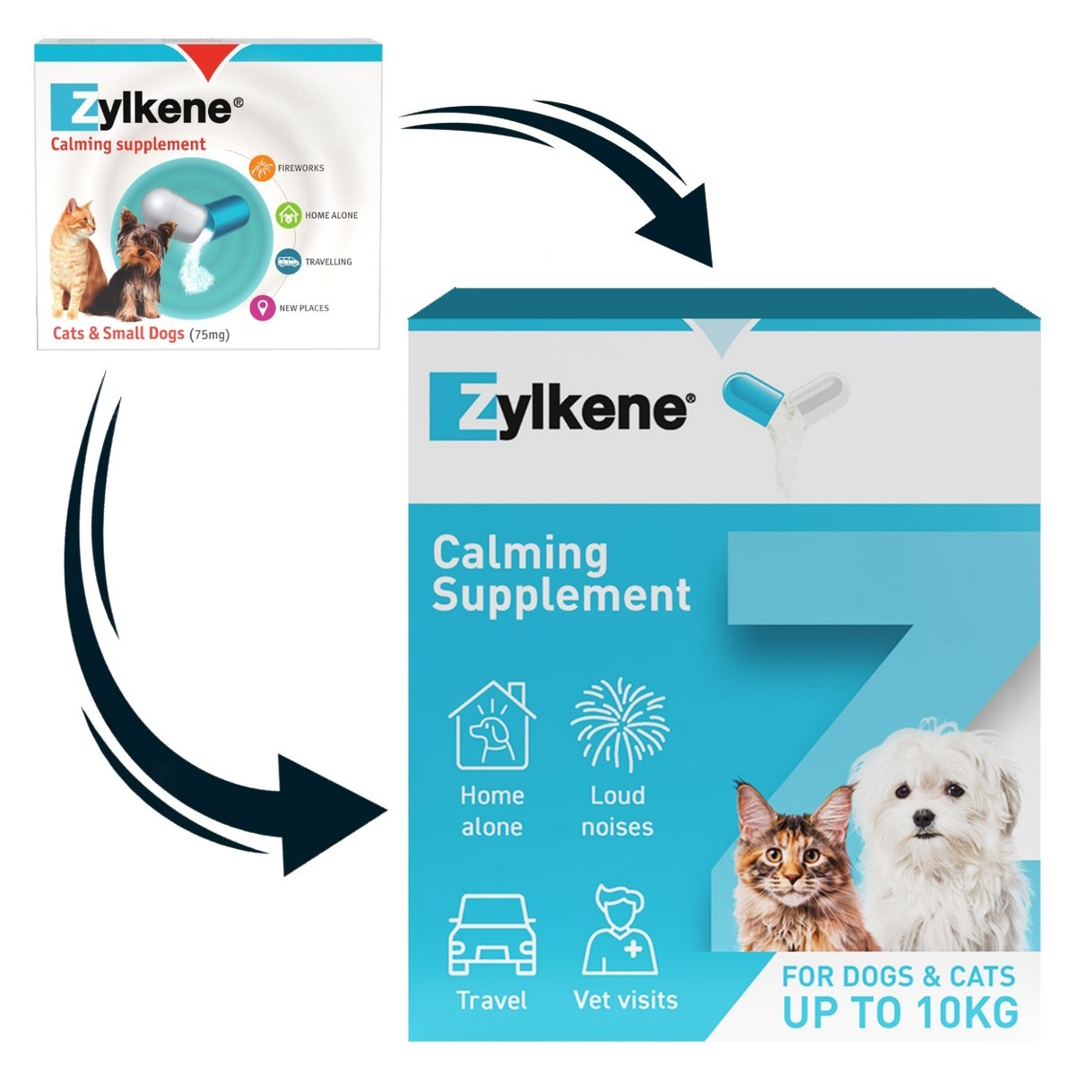 Zylkene Capsules for Cats and Dogs