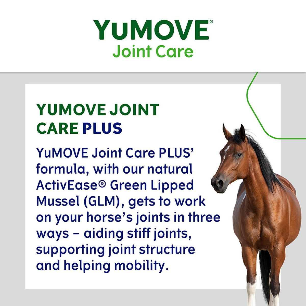 YuMOVE Joint Care PLUS for Horses 1.8Kg