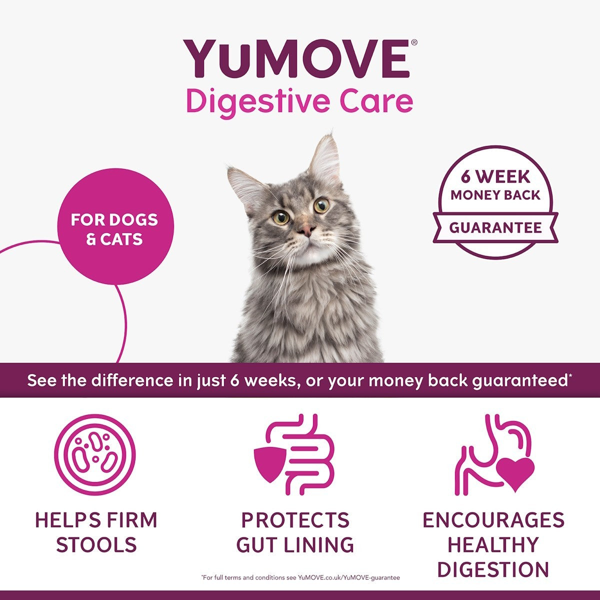 YuMOVE Digestive Care PLUS