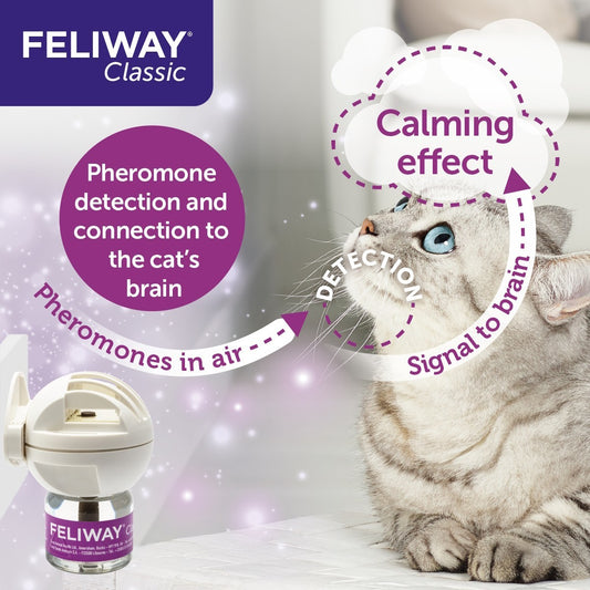 Feliway Classic Diffuser 30 Day Starter Kit