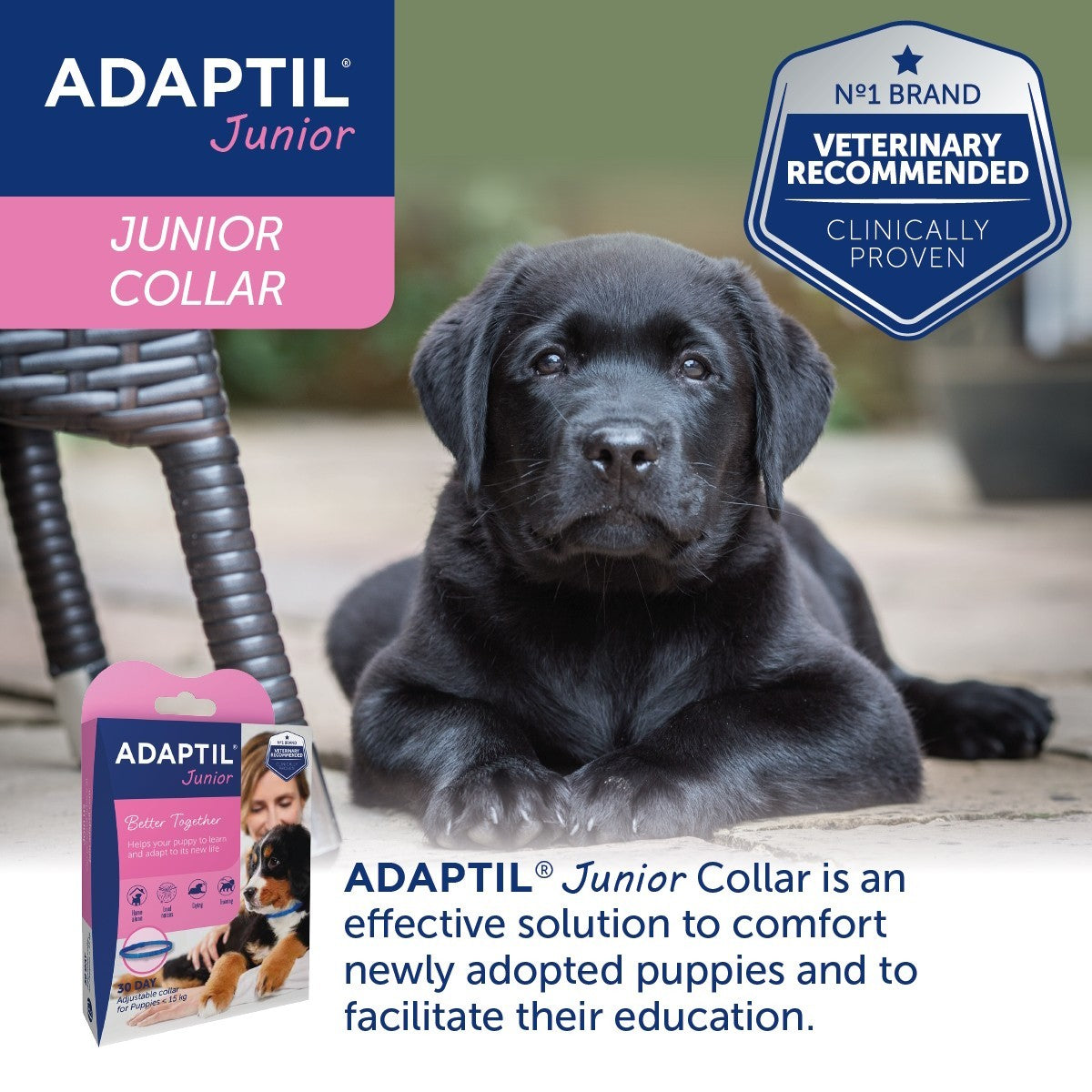 Adaptil Junior Collar for Dogs