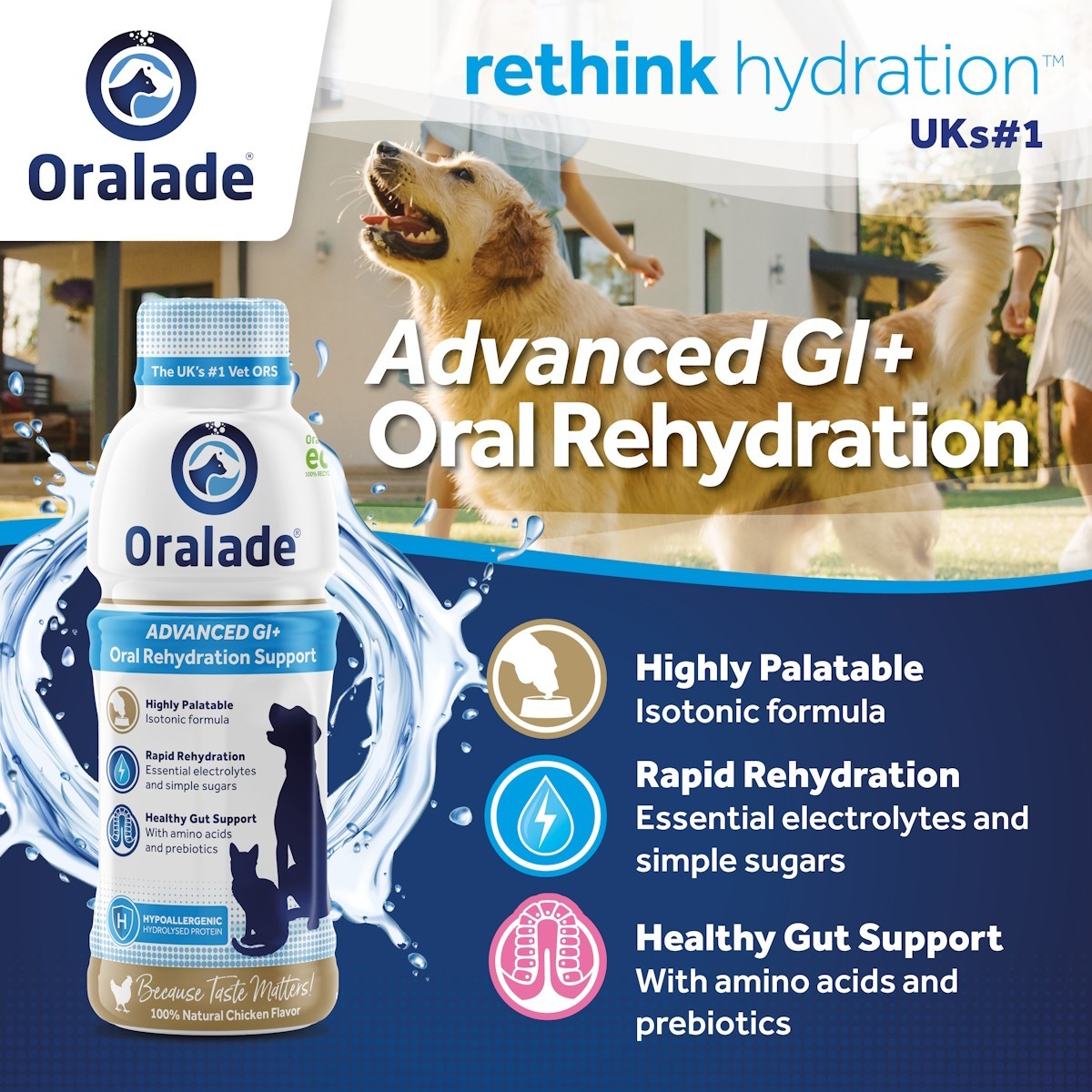 Oralade Advanced GI Support for Cats and Dogs 500ml