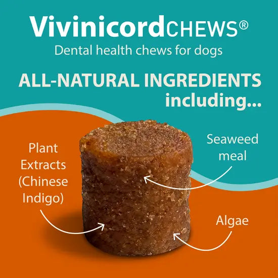 Vivinicord Dental Chews for Dogs
