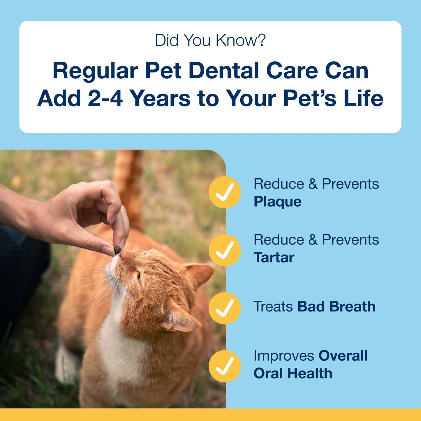 PlaqueOff Dental Soft Chews for Cats