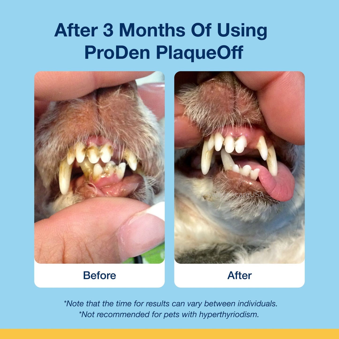 PlaqueOff Dental Soft Chews for Dogs