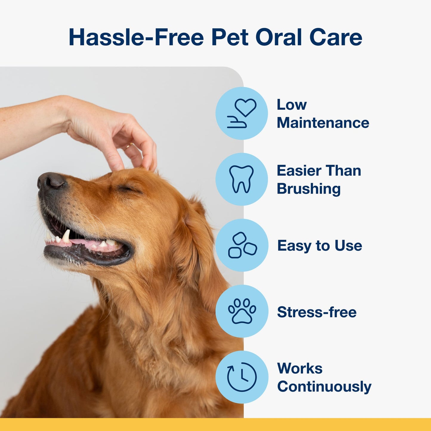 PlaqueOff Dental Soft Chews for Dogs