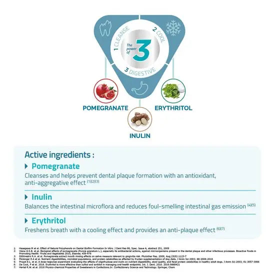 Vet Aquadent Fr3sh for Dogs and Cats