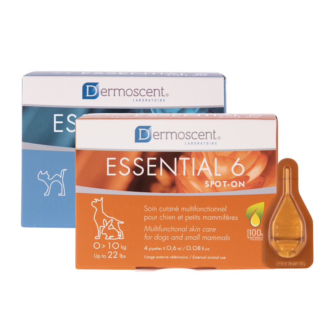Dermoscent Essential 6 spot-on