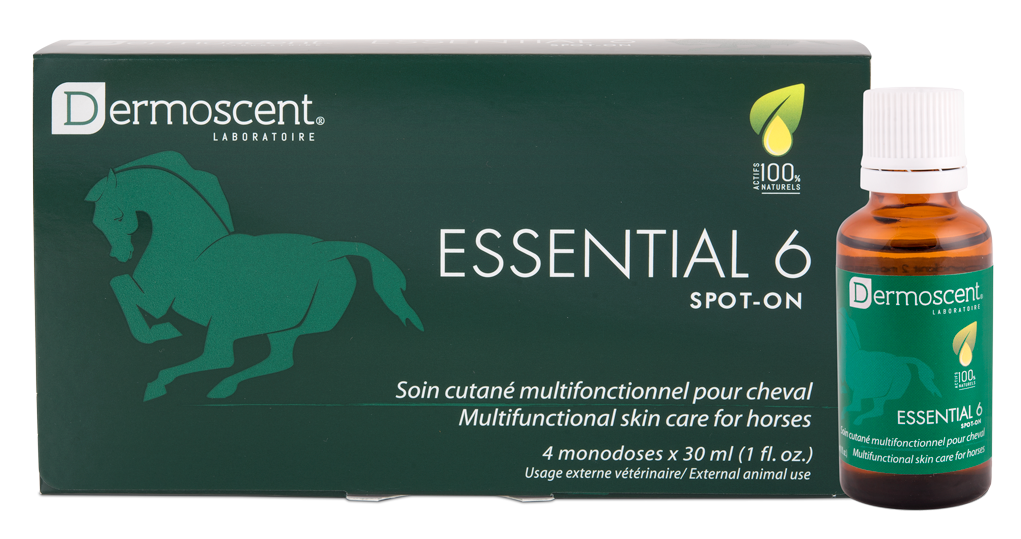 Dermoscent Essential 6 spot-on for Horses