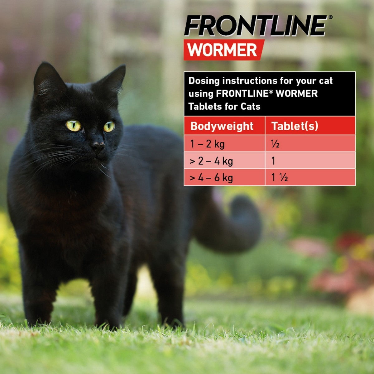 Frontline Wormer 230mg/20mg Film-Coated Tablets for Cats