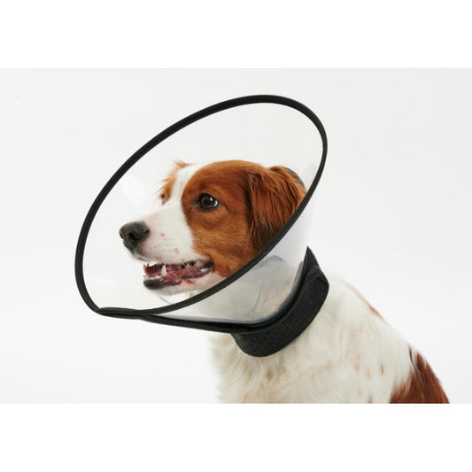BUSTER Complete Collar 7.5cm