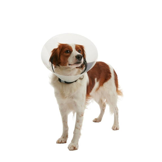 Collar Clic 7.5cm BUSTER (273480) Single
