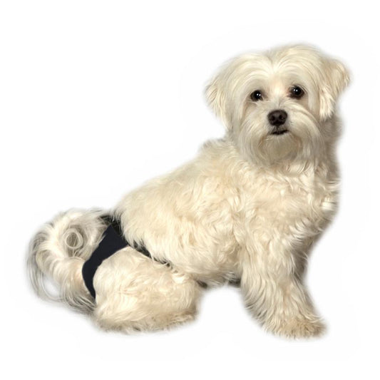 BUSTER Sanitary Pants Menstrual Pad Large 25pk